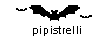 Pipistrelli