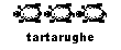 Tartarughe
